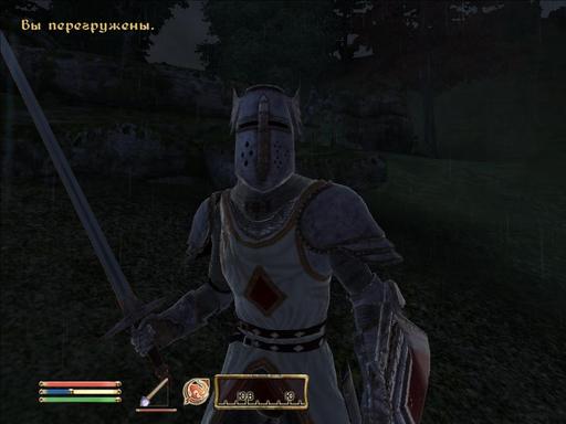 Elder Scrolls IV: Oblivion, The - Скриншоты игроков.