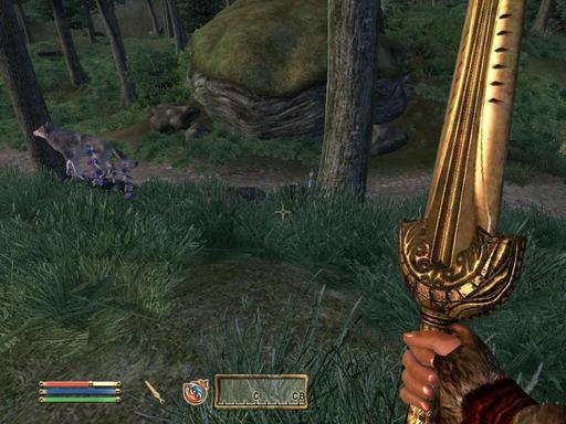 Elder Scrolls IV: Oblivion, The - Дневник имперского гастарбайтера. Том третий.