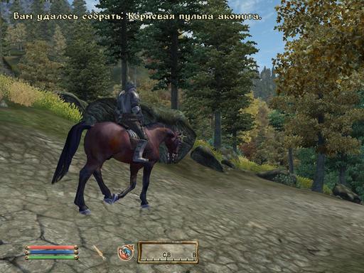 Elder Scrolls IV: Oblivion, The - Дневник имперского гастарбайтера. Том третий.