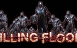 Killingfloor