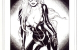 Blackcat_inks_redo