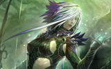 Gw_sylvari_blogheader