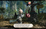 Finalfantasy_xiv_20_pub_12