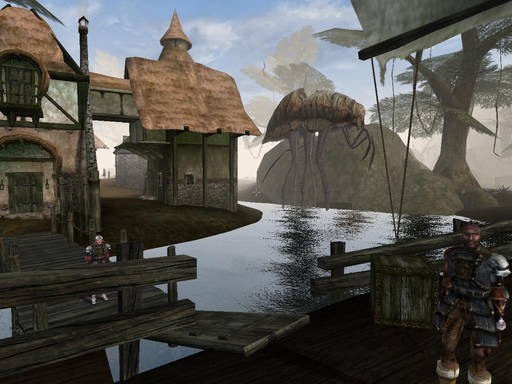 Elder Scrolls III: Morrowind, The - Мосты Острова Вварденфелл